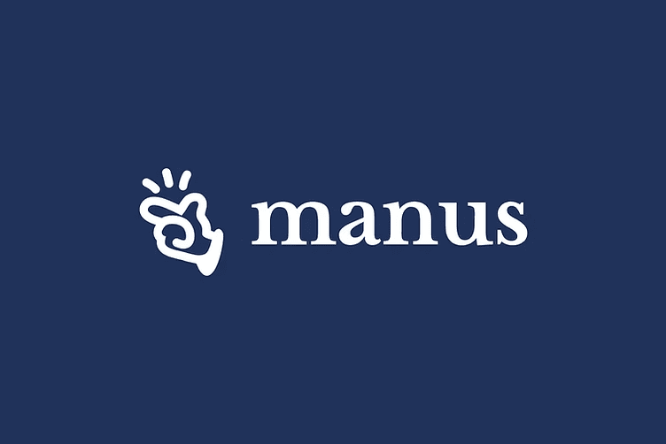 How to Do Customer Research in Manus